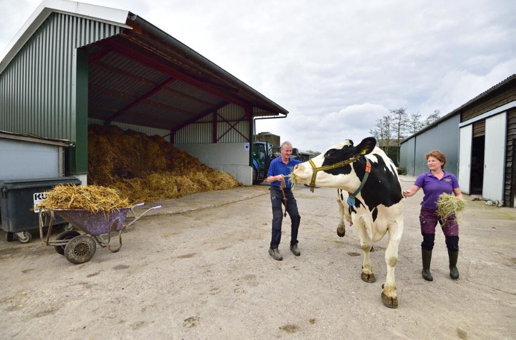 Artikel Nieuwe Oogst over Investeringen Bewust Boeren Rijnland (IBBR)