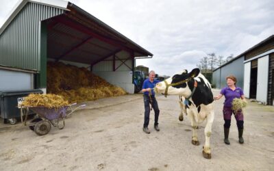 Artikel Nieuwe Oogst over Investeringen Bewust Boeren Rijnland (IBBR)
