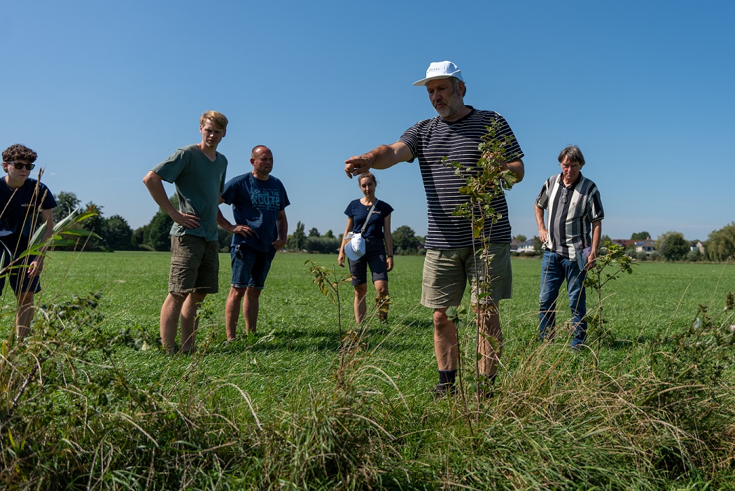 Hollands plaatje met koeien en water