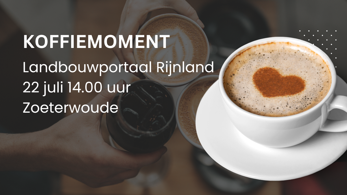 kopje koffie