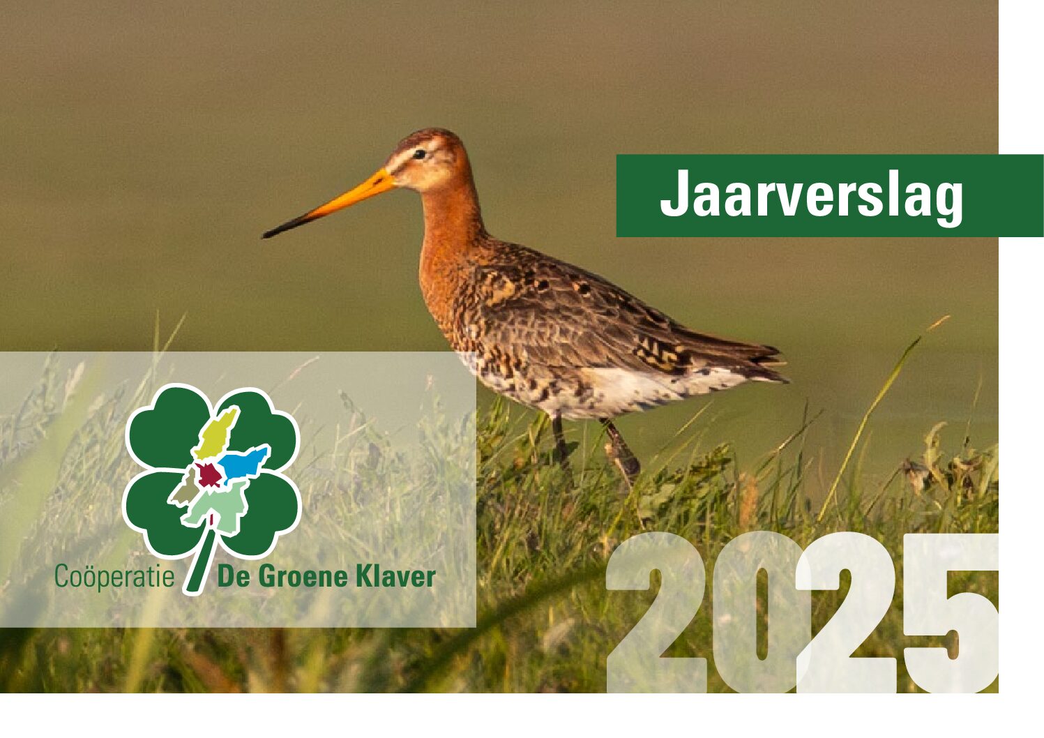 Jaarverslag 2025 voorblad