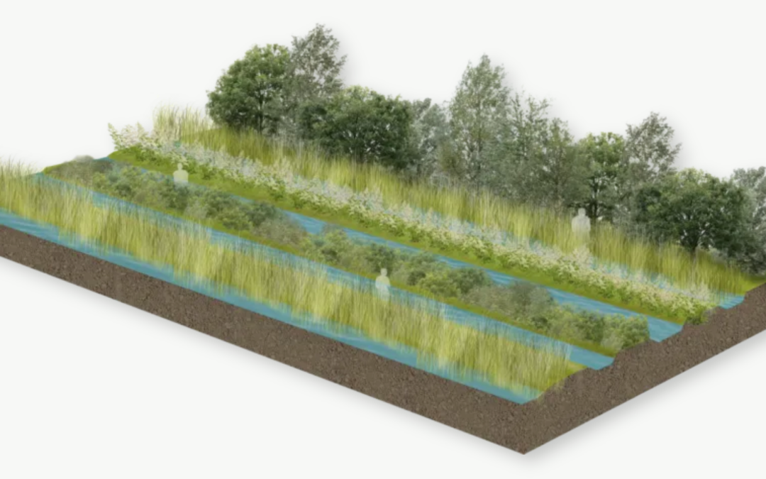Inspiratiebijeenkomst Agroforestry en natte teelt bij Polderlab