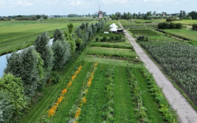 Bomen op je bedrijf? Uitdagingen en kansen | 14 april 2026