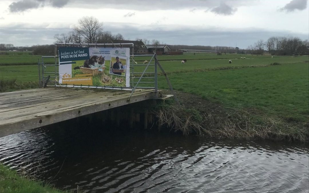 De Groene Klaver vraagt aandacht voor campagne ‘Kuikens in het land, poes in de mand’