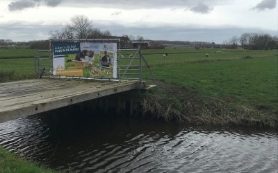 De Groene Klaver roept op: kuikens in het land, poes in de mand