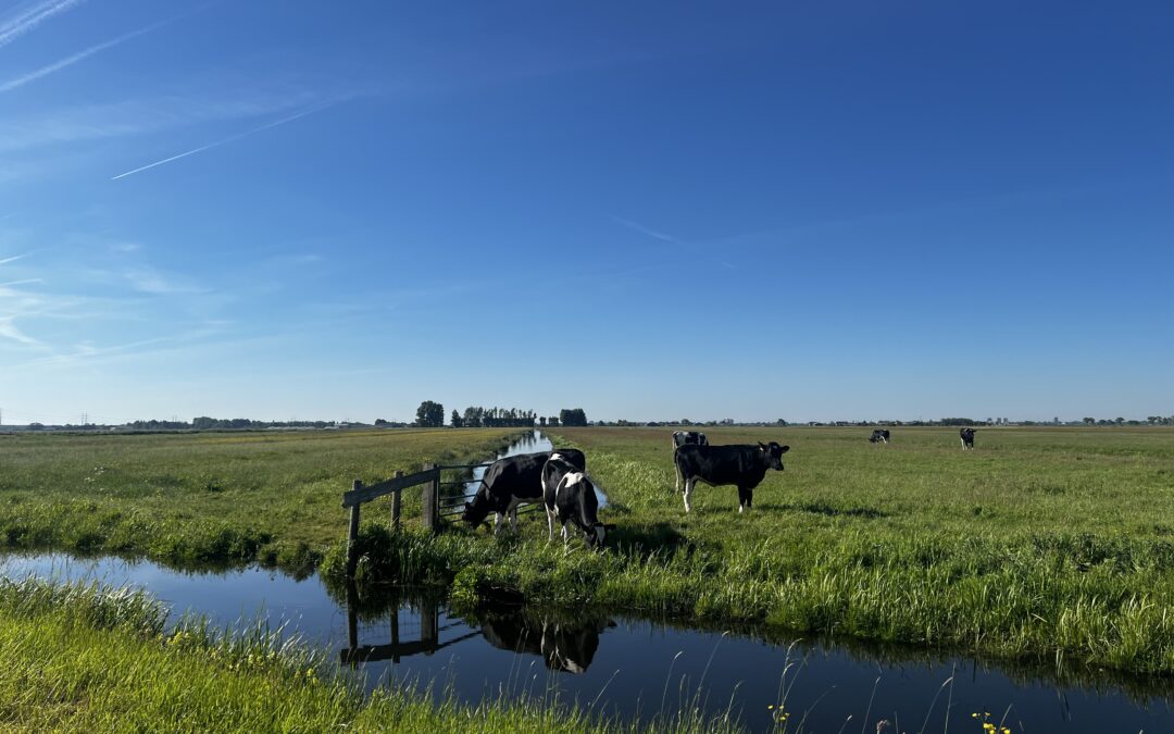 Boerenlandpaden weer toegankelijk voor wandelaars