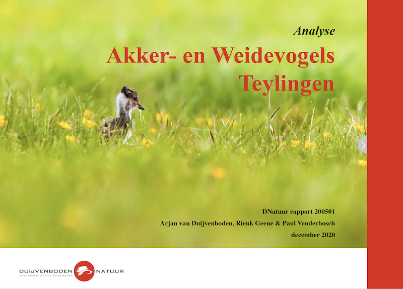 DNatuur publiceert rapport over weide- en akkervogels in gemeente Teylingen