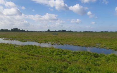 Uitnodiging bijeenkomst plas-dras